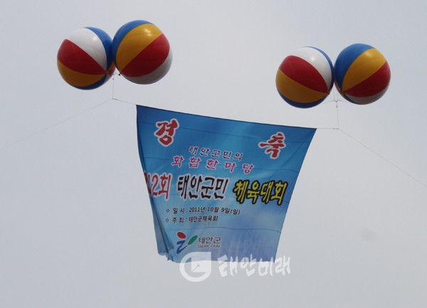 태안군민체육대회