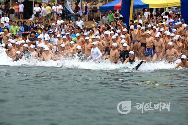 태안 만리포해수욕장에서 내달 2일 ‘제11회 전국 바다수영대회(핀 2km)’가 개최된다. 사진은 2011년 태안바다수영대회 모습.